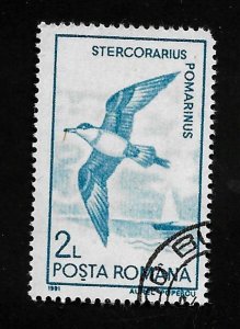 Romania 1991 - U - Scott #3642