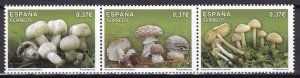 Spain, Mushrooms MNH / 2013