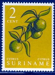 Citrus, Fruit, Surinam stamp SC#285 MNH