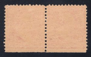 MOMEN: US STAMPS #220a-220c SCARCE COMBINATION PAIR MINT OG H LOT #79987*