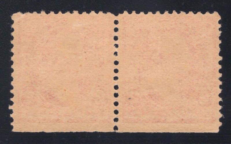 MOMEN: US STAMPS #220a-220c SCARCE COMBINATION PAIR MINT OG H LOT #79987*