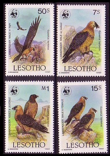 Lesotho WWF Lammergeier Birds 4v SG#677=683 MI#556-559 SC#512-515