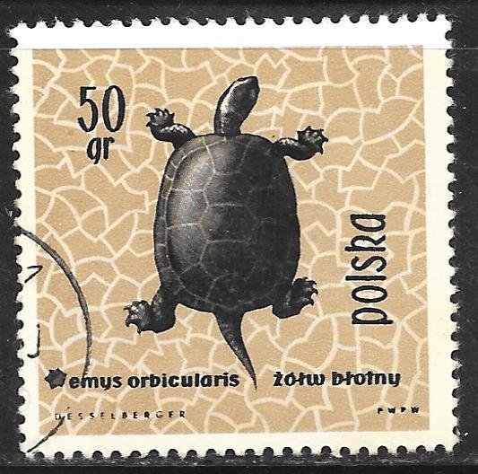 Poland 1136: 50g European Pond Turtle (Emys orbicularis), CTO, F-VF