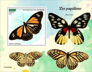 Chad - 2023 White Tiger Butterfly - Stamp Souvenir Sheet - TCH230116b