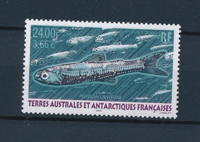 [37806] TAAF 2000 Marine life Fish MNH