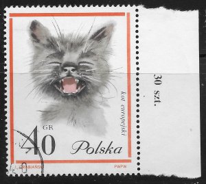 Poland #1217 40g European Cat