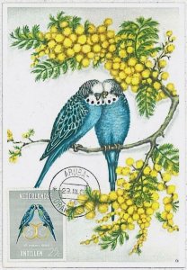 32858 - Netherlands Antilles - MAXIMUM CARD - 1966 - Animals BIRDS-