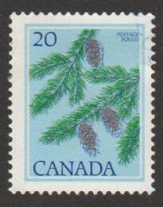 718 Douglas Fir