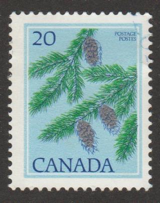718 Douglas Fir