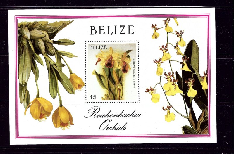 Belize 896 MNH 1987 Orchids S/S