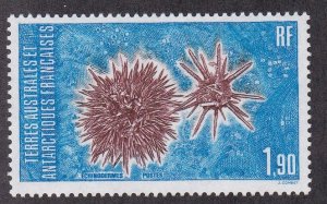 Fr. Southern Antarctic Terr., # 120, Star Fish, NH 1/2 Cat