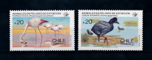 [102119] Chile 1985 Birds vogel oiseaux From set MNH