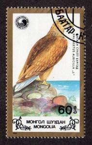 Mongolia 1702 - Cto-nh - White-tailed Eagle (cv $0.50)