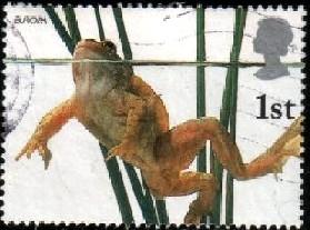 Frog, Europa, Great Britain SC#1981 used