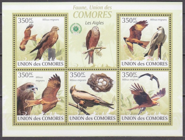 2009 Comoro Islands 2382-86KL Birds / Falcon 9,00 €