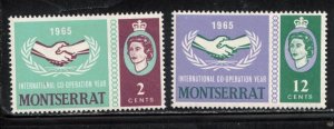 MONTSERRAT Scott # 176-7 MH - QEII & International Co-operation Year