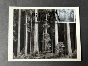 Ansel Adams 2024 FDC Maxicard Maximum Postcard Redwoods Bull Creek Flat CA