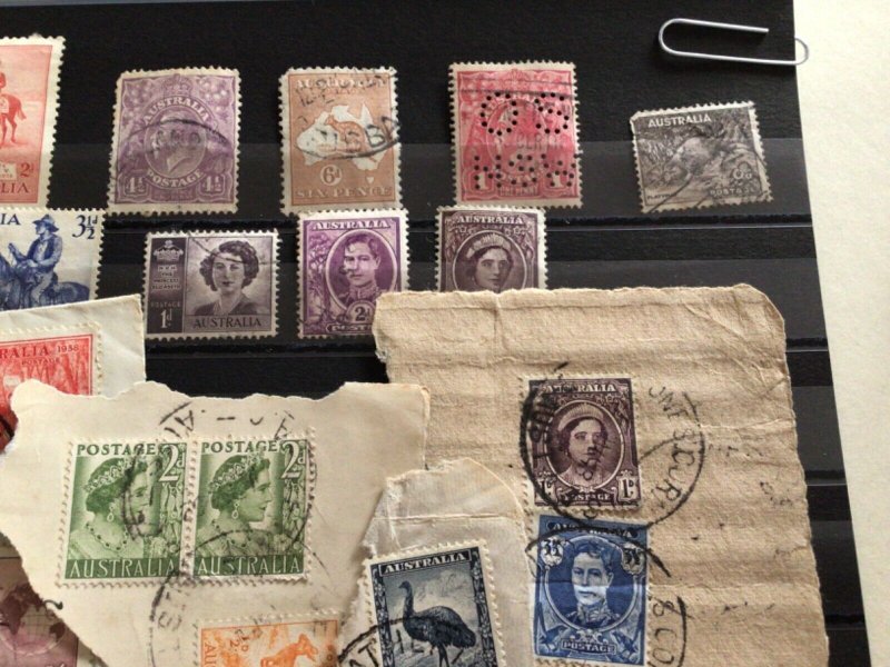 Australia interesting collection mounted mint and used postage stamps A11743