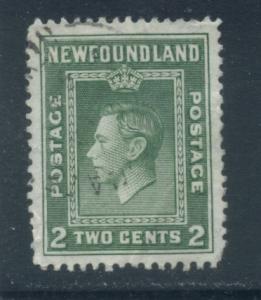 Newfoundland 245  Used