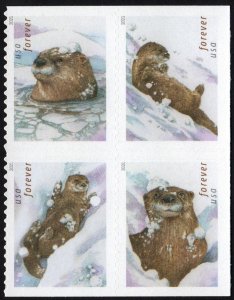 SC#5648-51 (Forever) Otters In Snow Block of Four (2021) SA