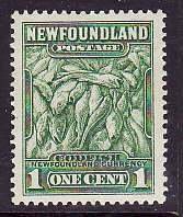 Newfoundland-Sc#183- id13-unused NH 1c green Codfish-1932-7-