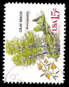 # 1767 USED GRAY BIRCH