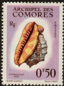 Comoro Islands 48 - Mint-H - 50c Bullmouth Shell (1962) (cv $1.00)