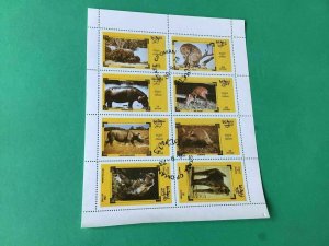State of Oman Elephant Rhino & Animals in the wild cancelled stamps sheet  55463 
