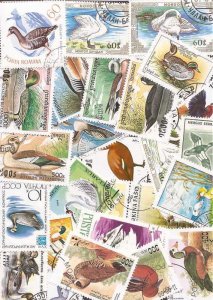 Ducks on Stamps Collection - 50 Different Stamps