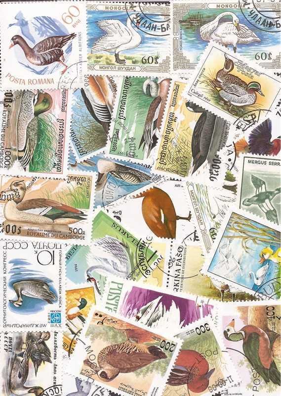 Ducks on Stamps Collection - 50 Different Stamps