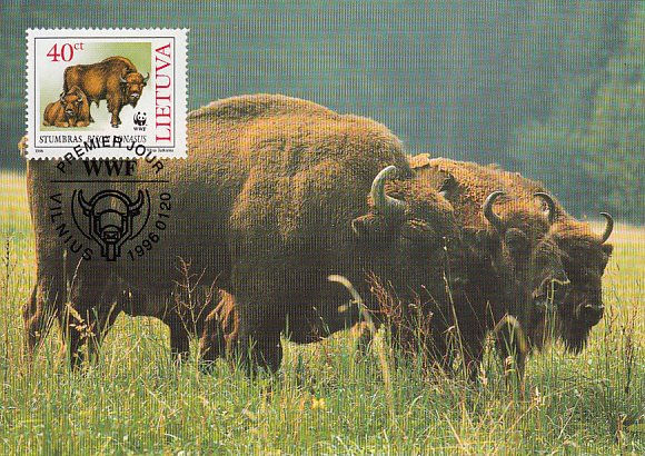 Lithuania 1996 Maxicard Sc #530 40c European bison WWF