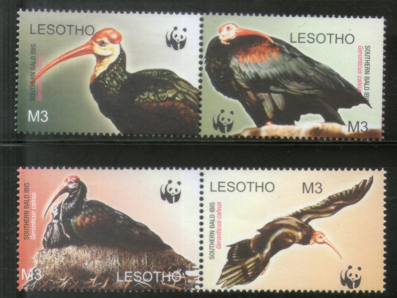 Lesotho 2004 WWF Southern Bald Ibis Birds Wildlife Animals Fauna Sc 1336 MNH 340