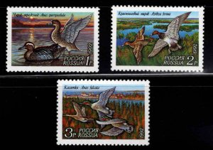 Russia Scott 6090-6092 MNH** Duck stamp set