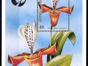 [79861] Antigua & Barbuda 1997 Flora Flowers Blumen Orchids Butterfly Sheet MNH