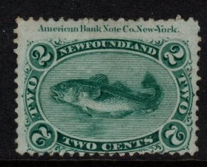 NEWFOUNDLAND SG25 1865 2c YELLOWISH-GREEN TOP MARGINAL IMPRINT MTD MINT