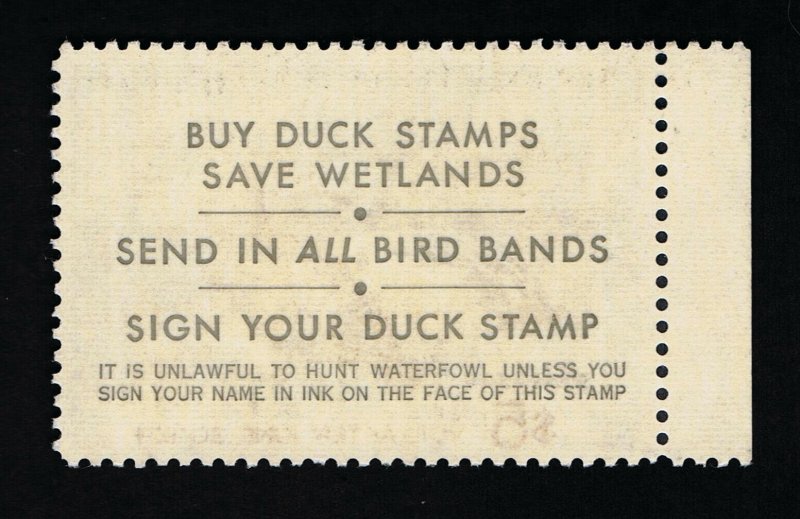 GENUINE SCOTT #RW40 XF MINT OG NH 1973 FEDERAL DUCK STAMP 