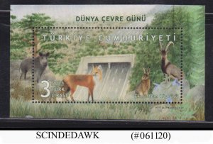 TURKEY - 2020 WORLD ENVIRONMENT DAY MIN/SHT MNH