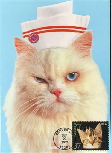 HNLP Hideaki Nakano Greeting Card Spay Neuter 3670 Cat You Better Get Well Soon!