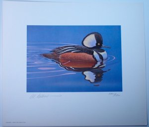 USA #RW45 Hunting Permit Stamp Signed Artwork Souvenir Folder 1978 Ducks Limited