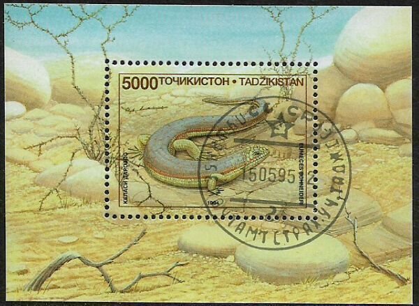 Tajikistan #75 Canceled/CTO Souvenir Sheet - Lizard