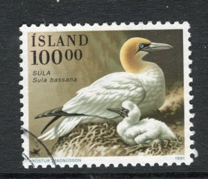 ICELAND; 1990s early Birds issue fine used 100k. value