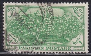 Pakistan 71 Cotton Plantation 1954