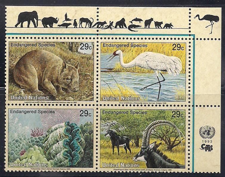 UN NYC Sc#623a Endangered Species Inscrp. Blk MNH