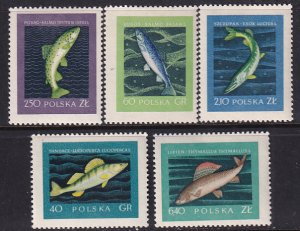 Poland 1958 Sc 810-14 Salmon Pike Perch Trout Grayling Fish Stamp MH