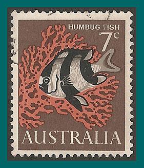 Australia 1966 Humbug Fish, used  402,SG388