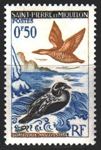 Saint Pierre and Miquelon. 1963. 398 from the series. Birds fauna. MNH.