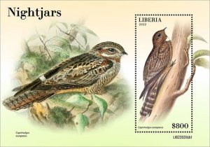 Liberia - 2022 European Nightjar Bird - Stamp Souvenir Sheet - LIB220316b1