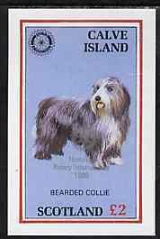 CALVE IS - 1998 - Dog, Silver o/p Rotary - De Luxe Sheet - M. N. H. -Local Issue