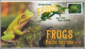 19-183, 2019, Frogs, Digital Color Postmark, FDC, Pacific Tree Frog