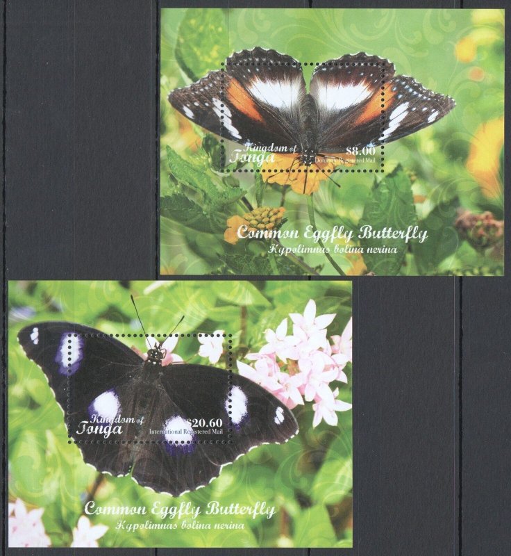 Uu0658 2018 Tonga Butterflies Common Eggfly Butterfly Fauna 2Bl Mnh